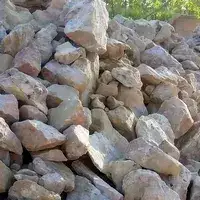 الحجر الرملي (حجر رملي كوارتزي)