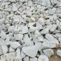 الكالسيت